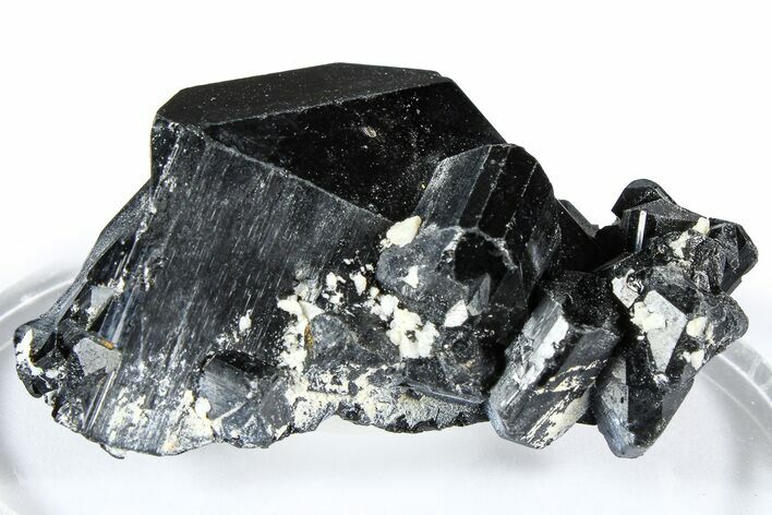 Lustrous Black Tourmaline (Schorl) Crystal Cluster - Namibia #361679